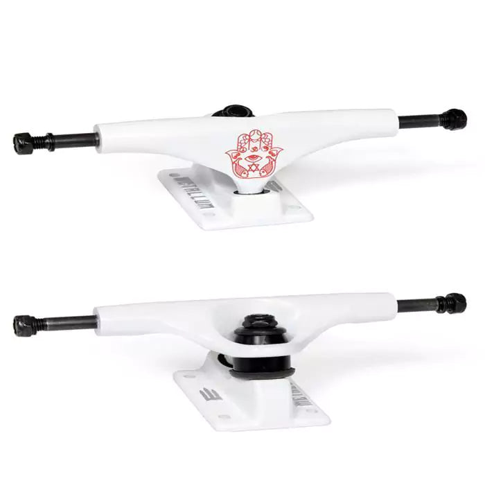 Truck Metallum Andre Hiena